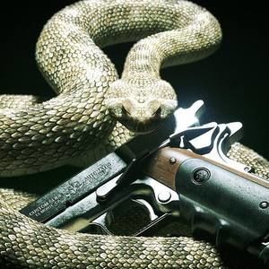 Meet your Posher, Hunter